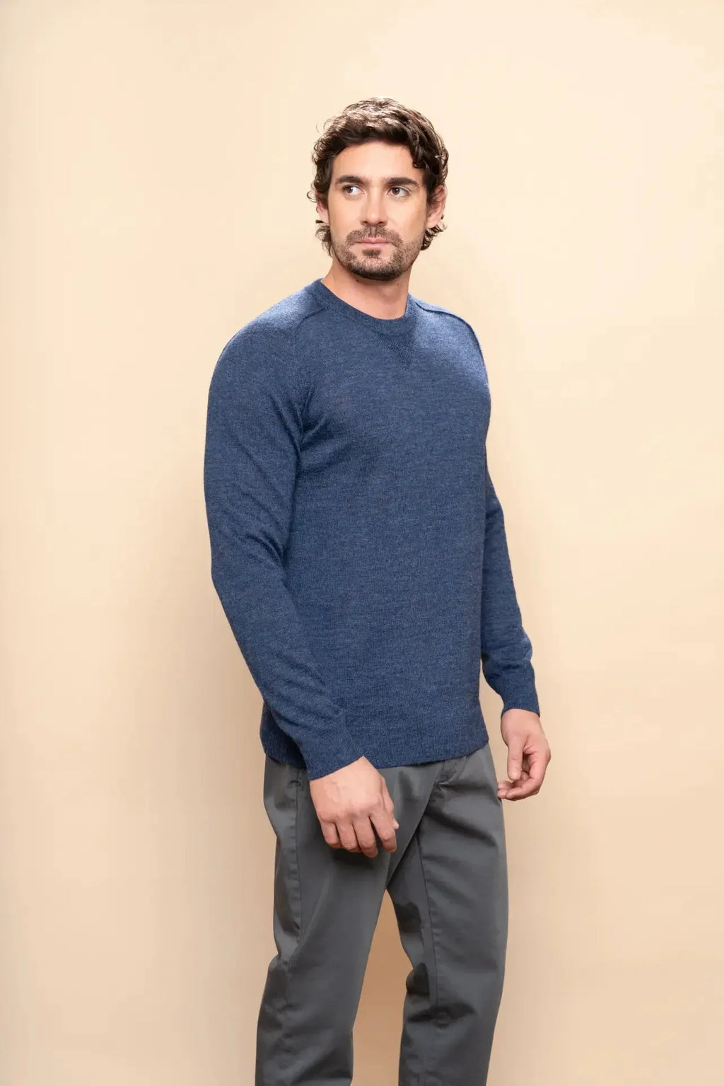 Herren Rundhals-Pullover