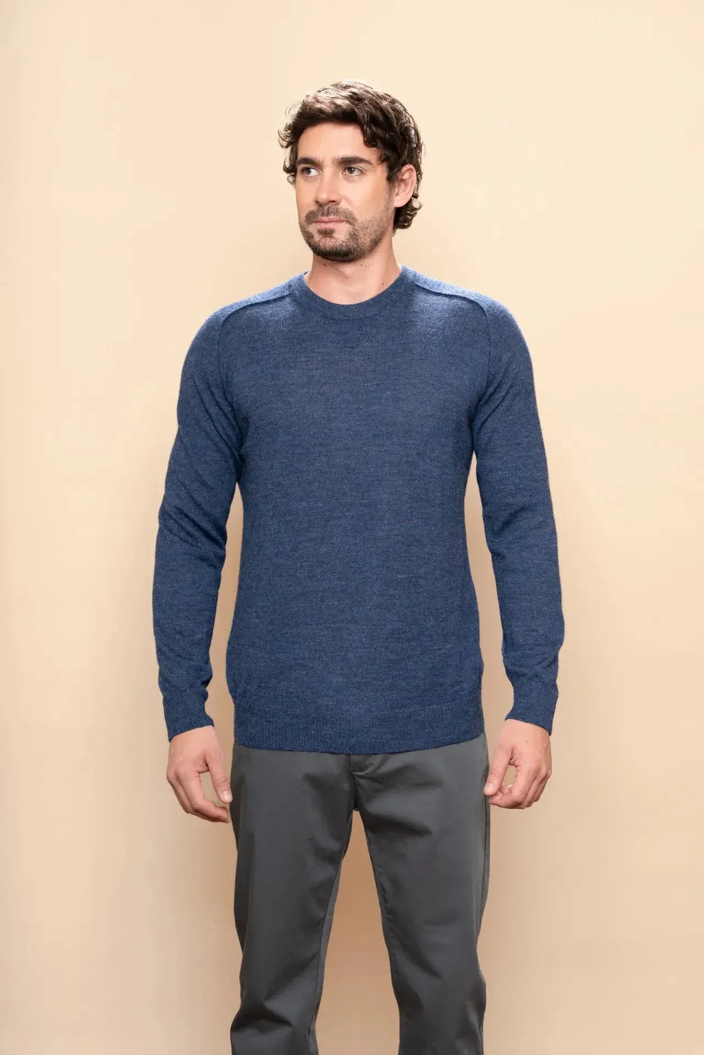 Herren Rundhals-Pullover